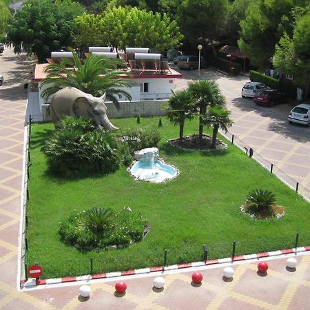 Camping L'Alqueria Гандія Екстер'єр фото